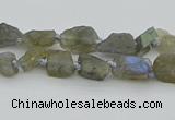 CNG5620 6*9mm - 10*16mm nuggets labradorite gemstone beads