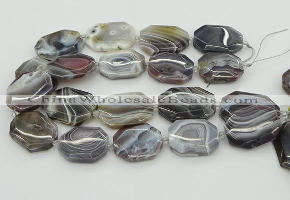 CNG5689 20*30mm - 35*45mm faceted freeform botswana agate beads