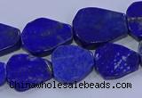 CNG5716 15.5 inches 12*16mm - 15*20mm freeform lapis lazuli beads