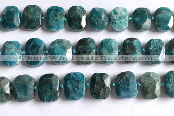 CNG5789 15.5 inches 13*18mm - 15*20mm faceted freeform apatite beads