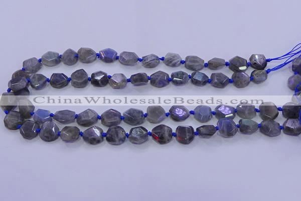 CNG5790 10*12mm - 10*14mm faceted freeform labradorite beads