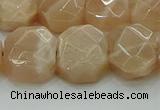 CNG5872 15.5 inches 8*12mm - 12*16mm faceted freeform moonstone beads