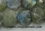 CNG5874 15.5 inches 8*12mm - 12*16mm faceted freeform labradorite beads