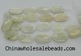 CNG6927 20*30mm - 35*45mm faceted freeform white moonstone beads