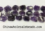 CNG6945 15.5 inches 20*20mm - 25*25mm freeform amethyst beads