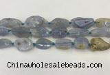 CNG6950 15.5 inches 18*20mm - 22*30mm freeform blue chalcedony beads