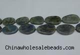 CNG7052 15.5 inches 25*35mm - 30*45mm freeform labradorite beads