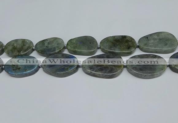 CNG7052 15.5 inches 25*35mm - 30*45mm freeform labradorite beads