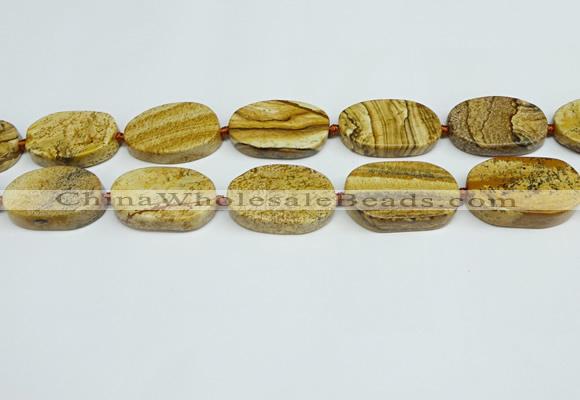 CNG7053 15.5 inches 20*30mm - 22*35mm freeform picture jasper beads