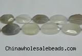 CNG7081 15.5 inches 25*35mm - 35*45mm faceted freeform agate beads