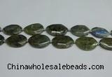 CNG7098 25*35mm - 35*45mm faceted freeform labradorite beads