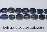 CNG7117 15.5 inches 20*25mm - 25*30mm freeform blue dumortierite beads