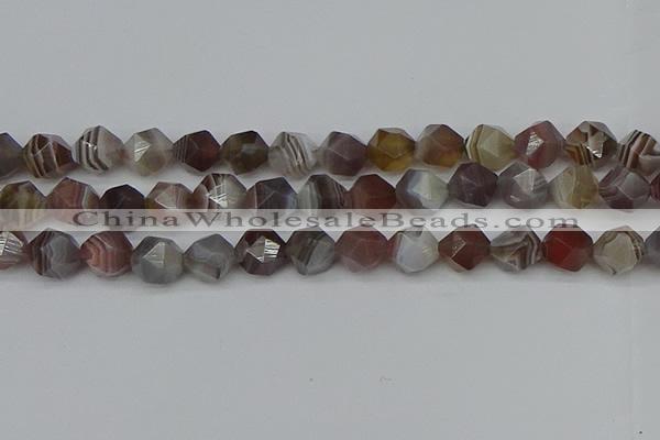 CNG7348 15.5 inches 12mm faceted nuggets botswana agate beads