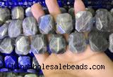 CNG7480 15.5 inches 18*25mm - 20*28mm faceted freeform labradorite beads