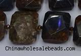 CNG7482 15.5 inches 18*25mm - 20*28mm faceted freeform pietersite beads