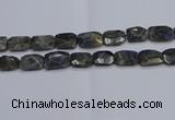 CNG7487 15.5 inches 18*25mm - 20*30mm faceted freeform labradorite beads