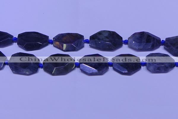 CNG7517 15.5 inches 25*35mm - 30*40mm faceted freeform labradorite beads
