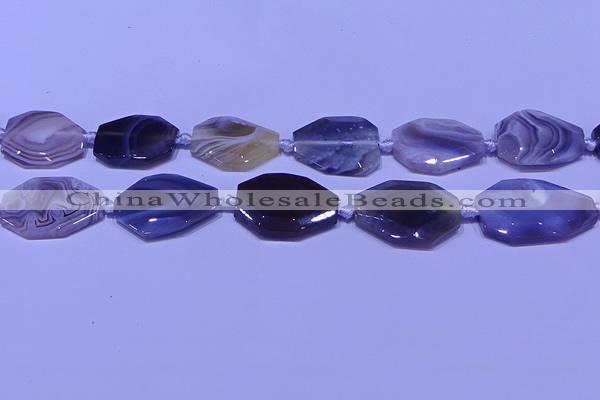 CNG7527 18*25mm - 25*35mm faceted freeform Botswana agate beads