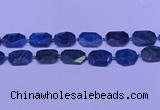 CNG7533 15.5 inches 18*25mm - 25*35mm faceted freeform apatite beads