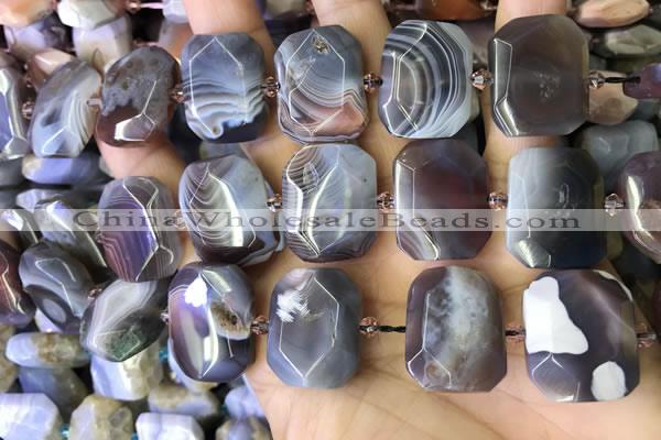 CNG7581 18*25mm - 20*28mm faceted freeform Botswana agate beads