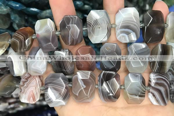 CNG7773 13*18mm - 15*25mm faceted freeform Botswana agate beads