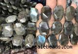 CNG7774 13*18mm - 15*25mm faceted freeform labradorite beads