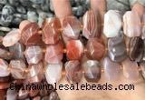 CNG7782 13*18mm - 15*25mm faceted freeform red Botswana agate beads