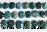 CNG7787 15.5 inches 13*18mm - 15*25mm faceted freeform apatite beads