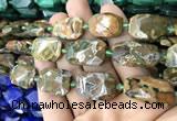 CNG7818 15.5 inches 13*18mm - 18*25mm faceted freeform rhyolite beads