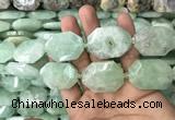 CNG7831 20*28mm - 25*35mm faceted freeform light prehnite beads