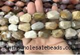 CNG7843 12*16mm - 15*25mm faceted nuggets fossil coral beads