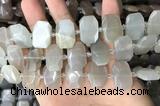 CNG7880 13*18mm - 15*25mm faceted freeform moonstone beads