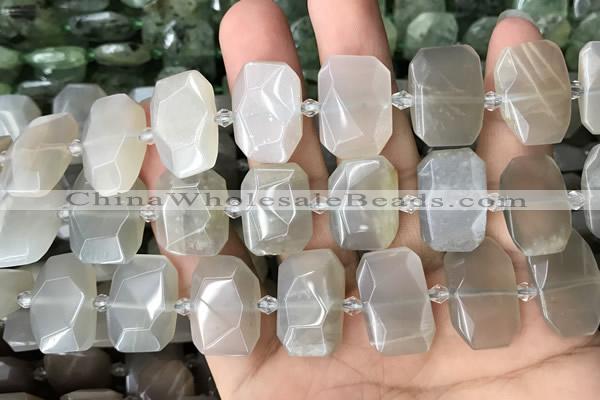CNG7881 13*18mm - 15*25mm faceted freeform moonstone beads