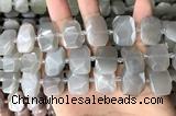 CNG7882 13*18mm - 15*25mm faceted freeform moonstone beads
