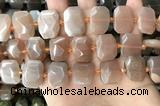 CNG7884 13*18mm - 15*25mm faceted freeform moonstone beads