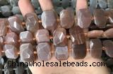 CNG7885 13*18mm - 15*25mm faceted freeform moonstone beads