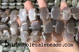 CNG7886 13*18mm - 15*25mm faceted freeform moonstone beads