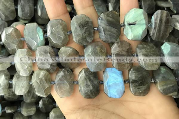 CNG7887 13*18mm - 15*25mm faceted freeform labradorite beads