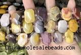 CNG7920 15.5 inches 13*18mm - 15*25mm faceted freeform mookaite beads