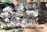 CNG8559 22*30mm - 25*35mm faceted freeform tourmaline beads