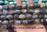 CNG8584 13*18mm - 15*20mm faceted nuggets labradorite beads