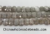 CNG8615 10*13mm - 12*16mm faceted freeform moonstone beads