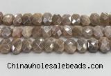 CNG8617 10*13mm - 12*16mm faceted freeform AB-color moonstone beads