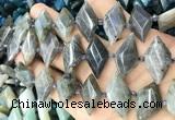 CNG8646 13*20mm - 15*25mm faceted freeform labradorite beads