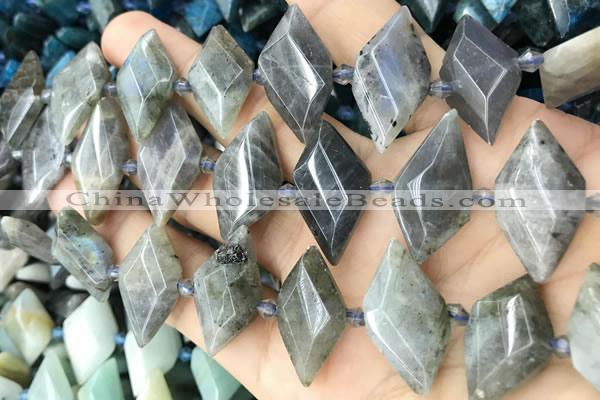 CNG8646 13*20mm - 15*25mm faceted freeform labradorite beads