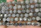 CNG8717 15.5 inches 10mm faceted nuggets labradorite gemstone beads