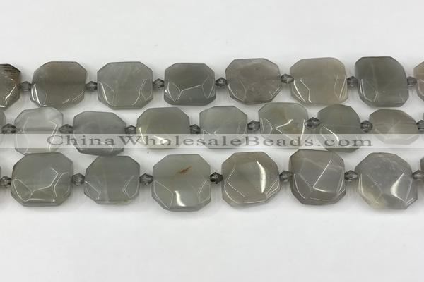 CNG8809 15.5 inches 16mm - 20mm faceted freeform moonstone beads