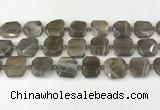 CNG8810 15.5 inches 16mm - 20mm faceted freeform moonstone beads