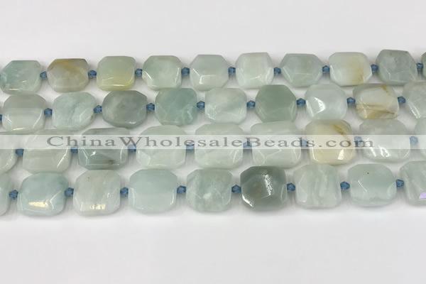 CNG8815 15.5 inches 16mm - 20mm faceted freeform amazonite beads