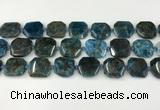 CNG8821 15.5 inches 16mm - 20mm faceted freeform apatite beads